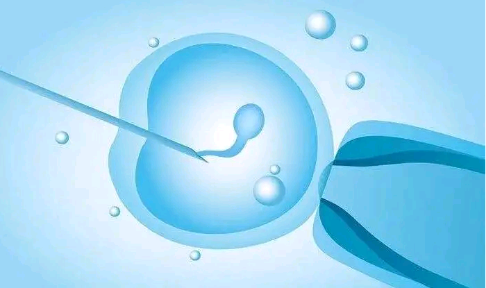 广州试管婴儿代孕费用|生长激素能改善试管婴儿成功率吗
