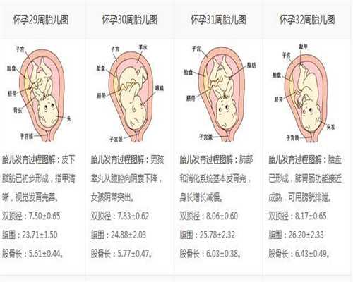 广州供卵费是多少_广州供卵助孕_怀孕期间可以做指甲剥皮吗